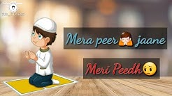 Mera Peer Jane Status Free Music Download download getfreemusic world