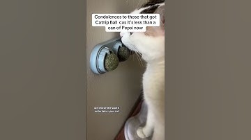 Trouble getting your cat to eat or relax? Try the Petsup Rotating Catnip Ball!