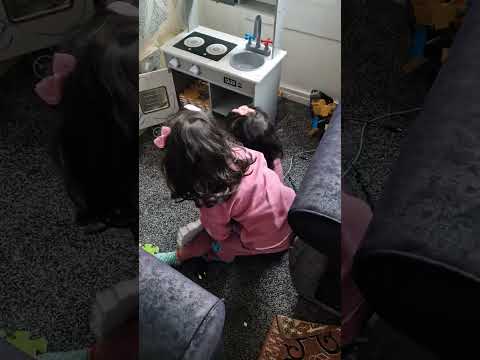 بلشنا صباحنا خناق مع جين وجيان التوأم المرح 