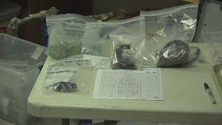 Here are the artifacts archeologists found in, around 1800s fishing boat found under St. Augustine,