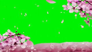 GREEN SCREEN BUNGA SAKURA FREE DOWNLOAD