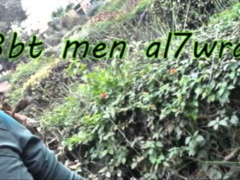 بنت و ولد على الحجار