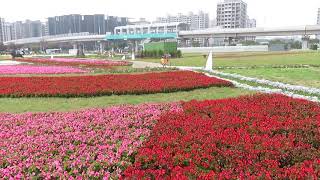 1080115淡水行政中心~稼日時光(1)