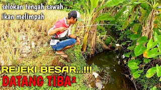 Long Time No Fishing... This Drain Is Already Full of Fish