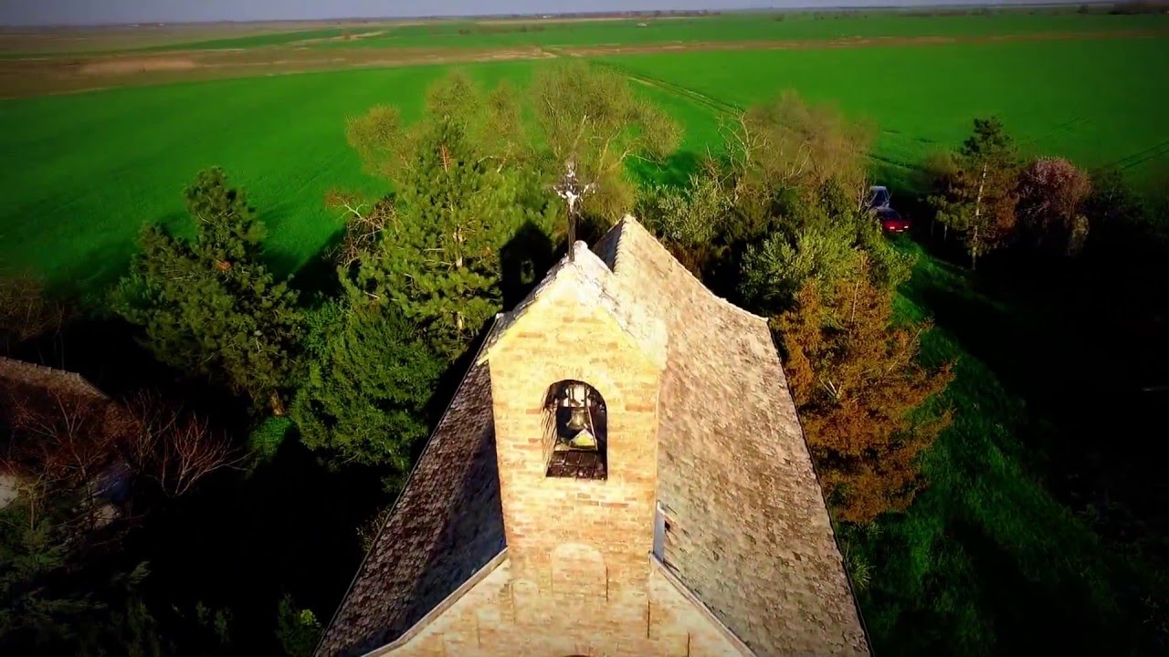 2016.04.03 - Mező-kopáncs