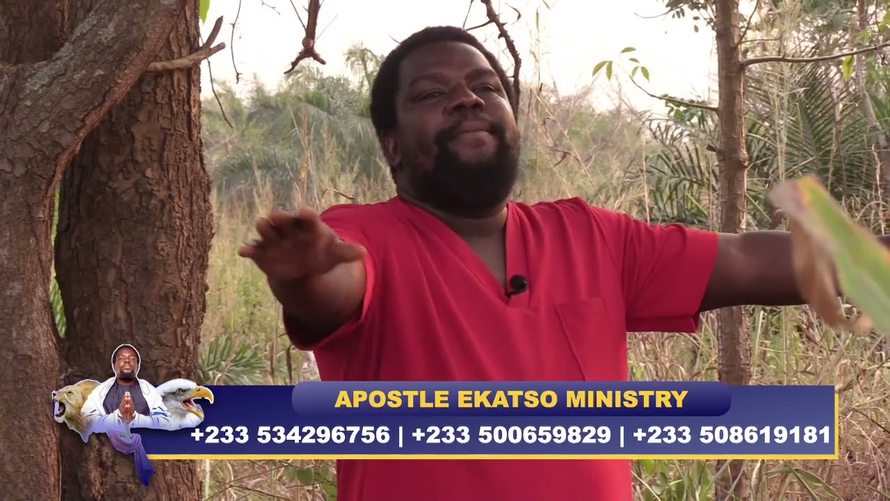 Сила деревьев нима, духовность и здоровье