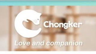 Chongker Weighted Cat Review /Mother's Day. 🐈‍⬛