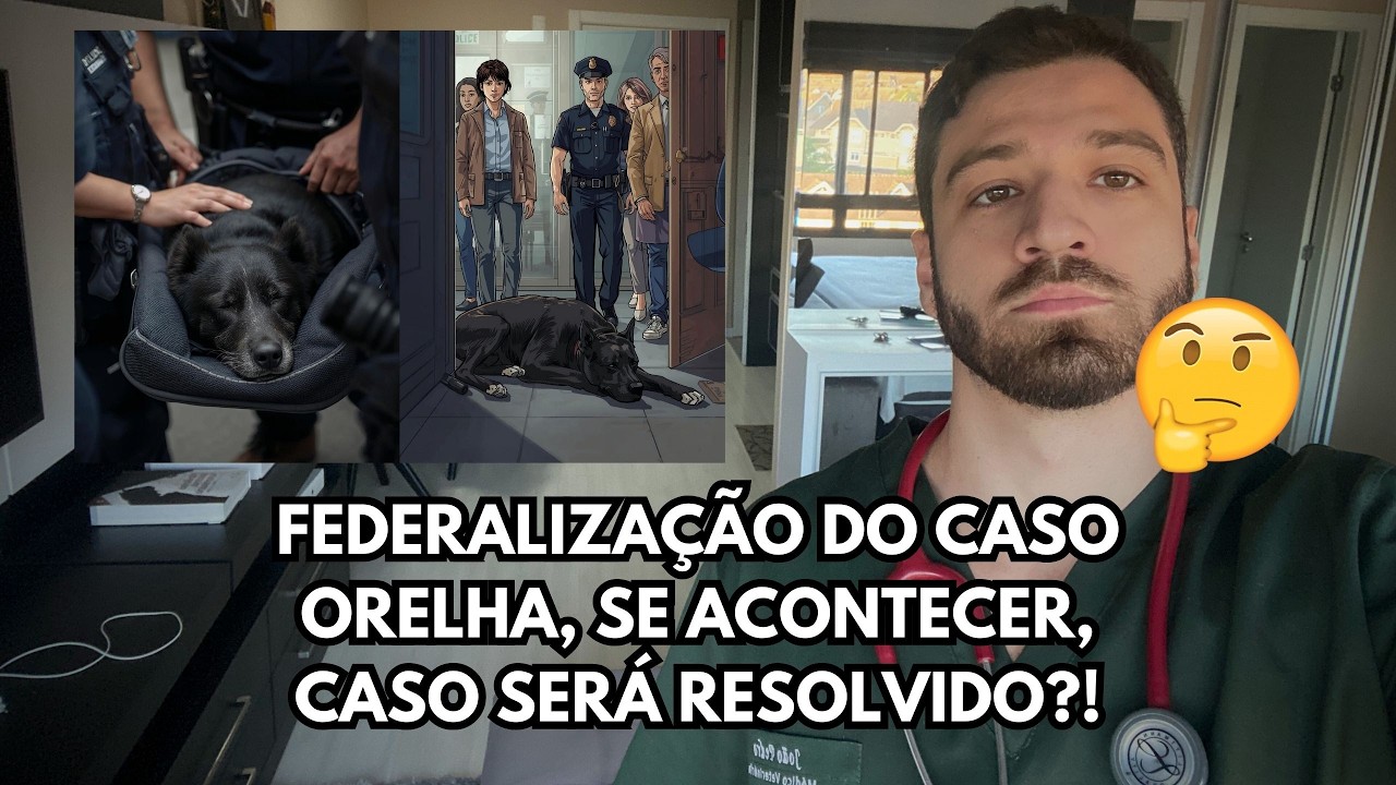 Caso Orelha tem novidades | Virou símbolo de impunidade? Pode ir para esfera federal!