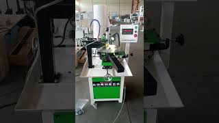 CNC Saw Blade Sharpening Machine for Carbide Teeth