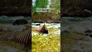 #bc #canada Blueberry Creek Castlegar B.C
