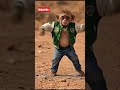 #rap #hiphop #monkey #trend