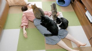 今日はパパがいません...