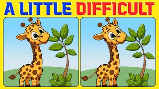 🧠🧩Spot the Difference | Brain Workout 《A Little Difficult》