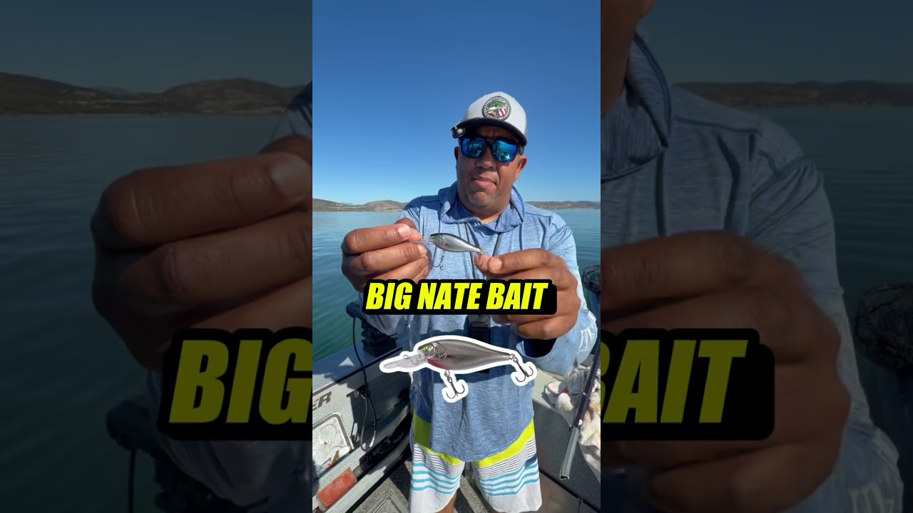 How to Catch Eagle Lake Trout: Big Nate Baits Deep Diver Test