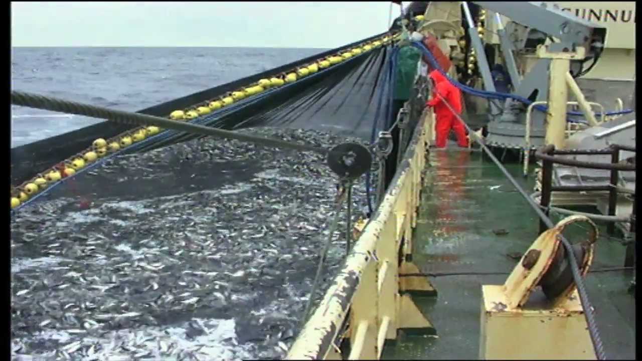 Trygt hjem - farlig fiskeryrke