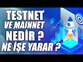 Testnet ve Mainnet Nedir? Ne İşe Yarar?