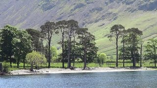 059: Butter Lake of Buttermere (Buttermere Lake, Gatesgarth and Burtness Wood) (Lake District 2016)