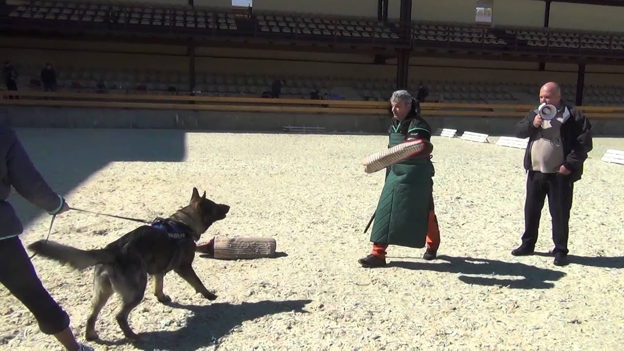 Hans Bodenmeier 25 04 2014 Moscow 00014 2