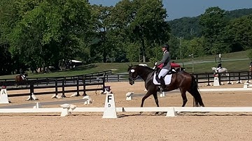 Training level test 1 ~75.7%