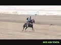 أجمل قصبة مع أجمل مشاهد