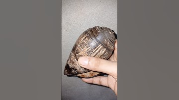 coconut shell craft #shorts #foryou #viral #craft #shortsfeed #viralvideo #trending #shortsfeed #new