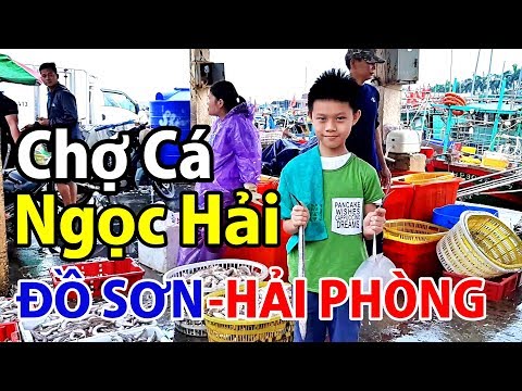 Chợ cảng cá Ngọc Hải - Đồ Sơn - Hải Phòng (2019) I Dzung Viet Vlog