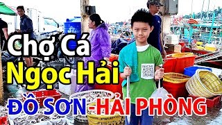 Chợ cảng cá Ngọc Hải - Đồ Sơn - Hải Phòng (2019) I Dzung Viet Vlog