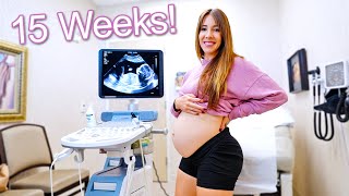 Week 15 Pregnancy Ultrasound - Baby is Relaxed and Sideways!