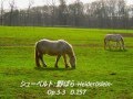 クラシック名曲 シューベルト：野ばら -Heideröslein-