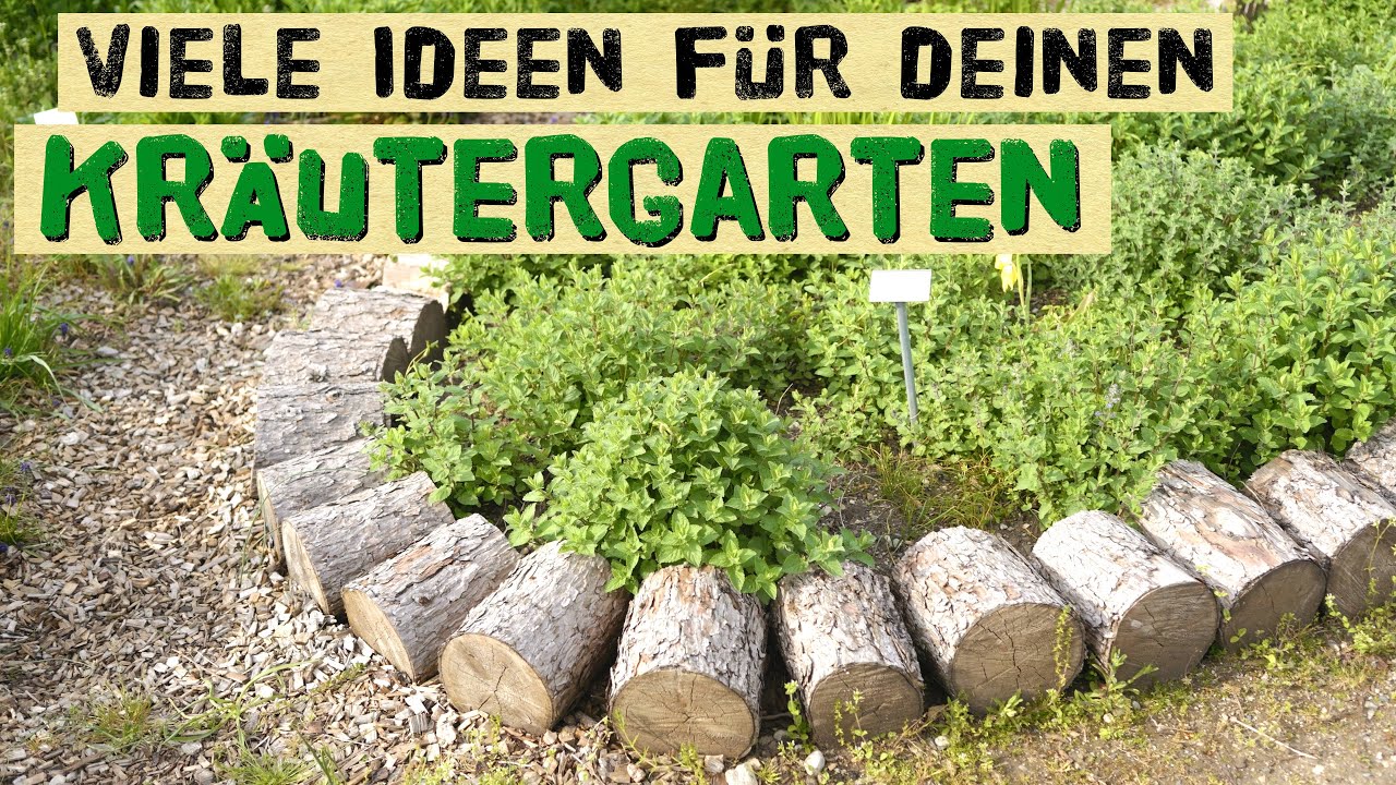 30 Wildkräuter + Heilwirkung Teil 1/3