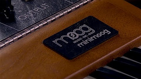 Moog Minimoog Model D Overview