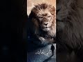 غاب الأسد طلعو القرود غاب الأسد طلعو القرود