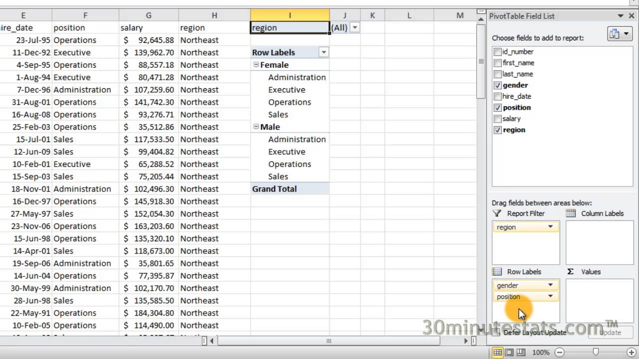 Excel 2010 Creating Pivot Tables