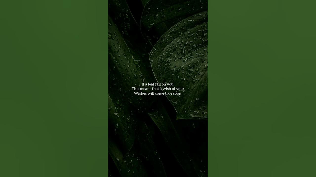 🌷Cute myths🌷 #music #song #myths #foryou #love #art #aesthetic #cute #blinkzyxfance #singer 🌷Cute myths🌷 #music #song #myths #foryou #love #art #aesthetic #cute #blinkzyxfance #singer