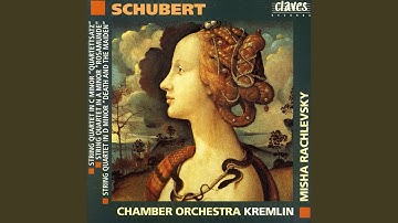 String Quartet in C Minor, D 703, "Quartettsatz": Allegro assai