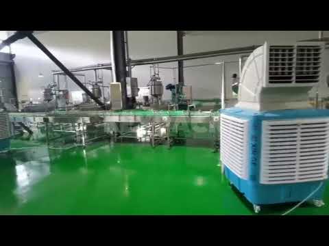 Canned yellow peach packaging production line from Keypack