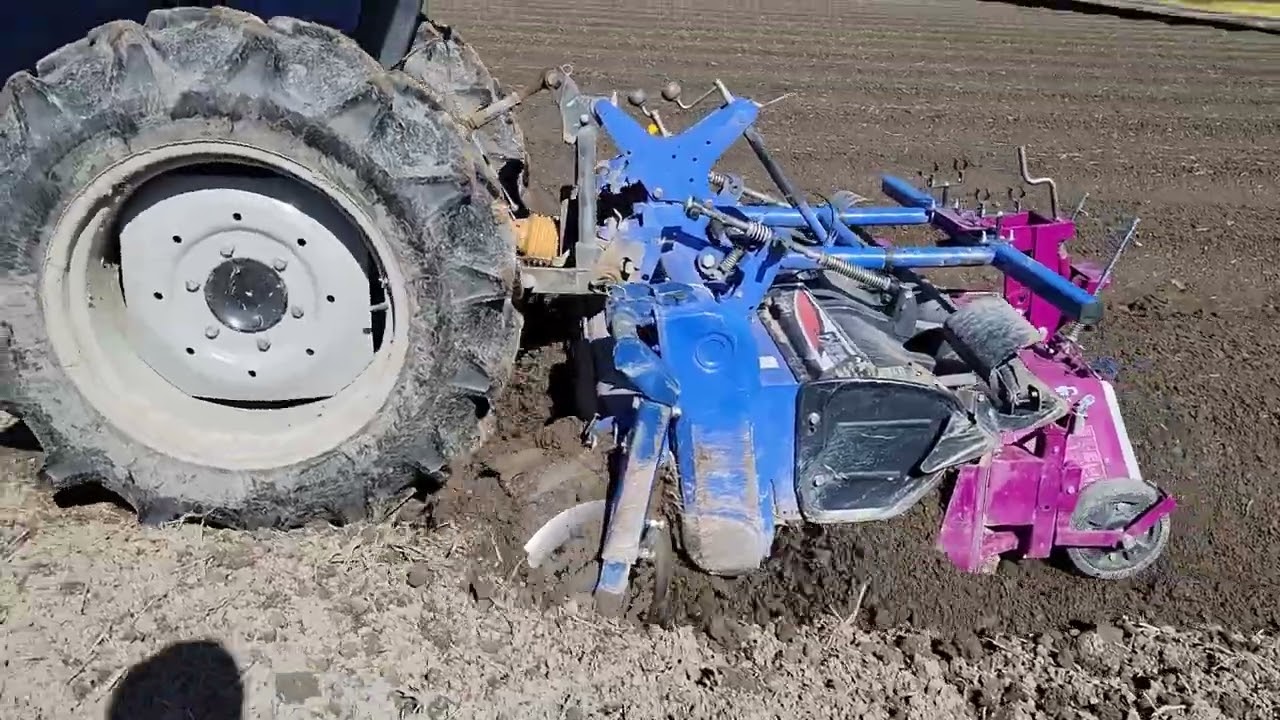 Rape blossoms No. 88 seed sowing - YouTube