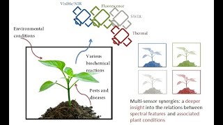 45 Sensor Synergies In Remote Wg3