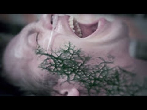 Watch Caustic Method - 'The Virus' - Official Music Video HD on YouTube Watch Caustic Method - 'The Virus' - Official Music Video HD on YouTube