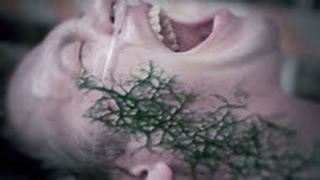 Caustic Method - The Virus