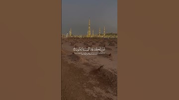 فتبارك الله أحسن الخلقين #القرآن_الكريم #ياسر_الدوسري #تلاوة_خاشعة #راحة_نفسية #قرآن #اكسبلور