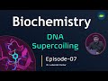 Biochemistry | Chapter- Genes | DNA supercoiling | Topology | Episode-08 | Basic Science Series