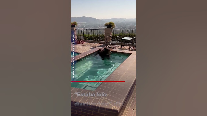 Este oso se coló en el jacuzzi de una casa | Noticias Telemundo
