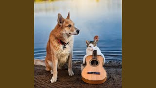 Water Pets Harmony
