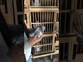 زيارتنا الى بطل الفرات الاوسط حيدر ابو كمال