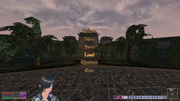 Morrowind HARDCORE mod | Her Hands Ordinator struck with Archery in My Area