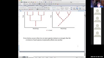 January 27-Patterns in Macroevolution