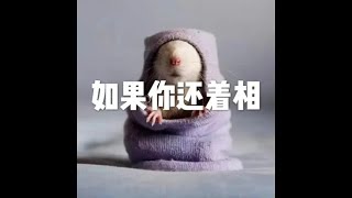 201708 如果你还着相23211