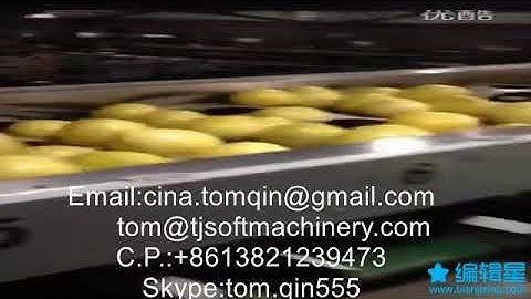 melon grapefruit Pomelo shaddock sorting grading machine