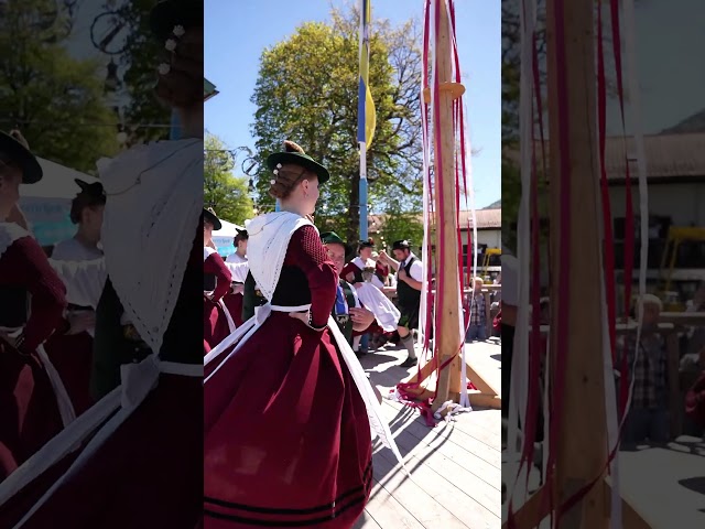 Maibaumaufstellen in Schliersee bei strahlendem Wetter